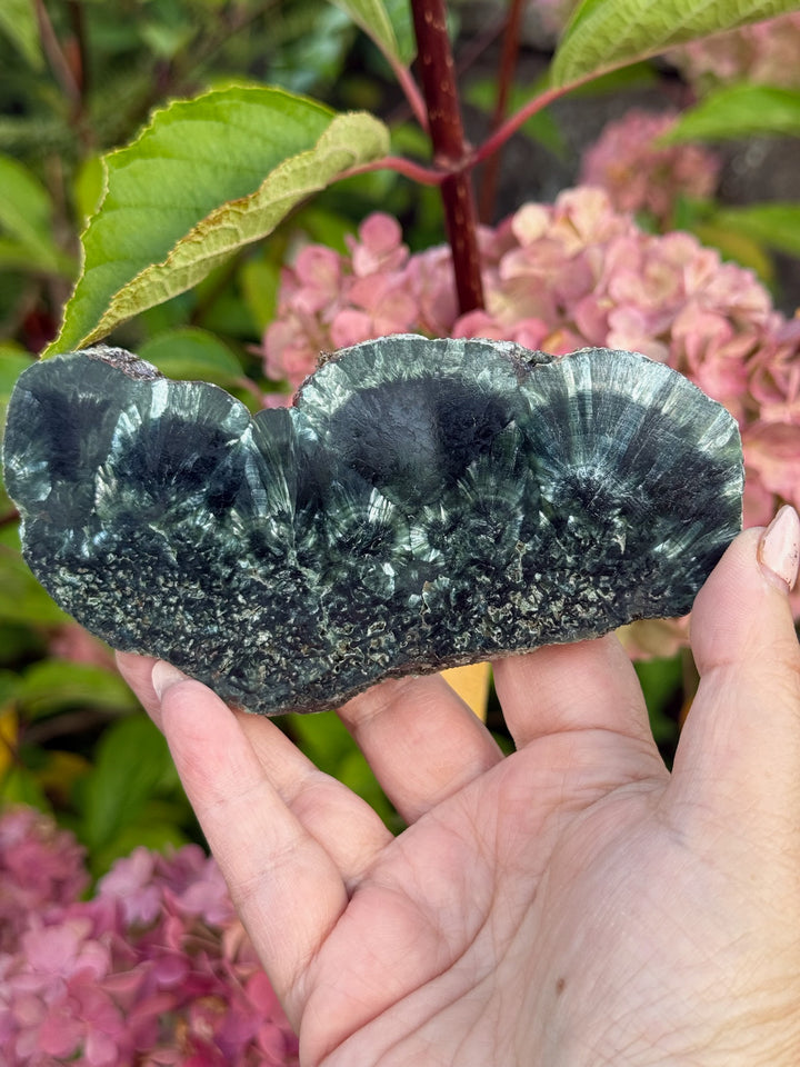 Stalactite Seraphinite Slice