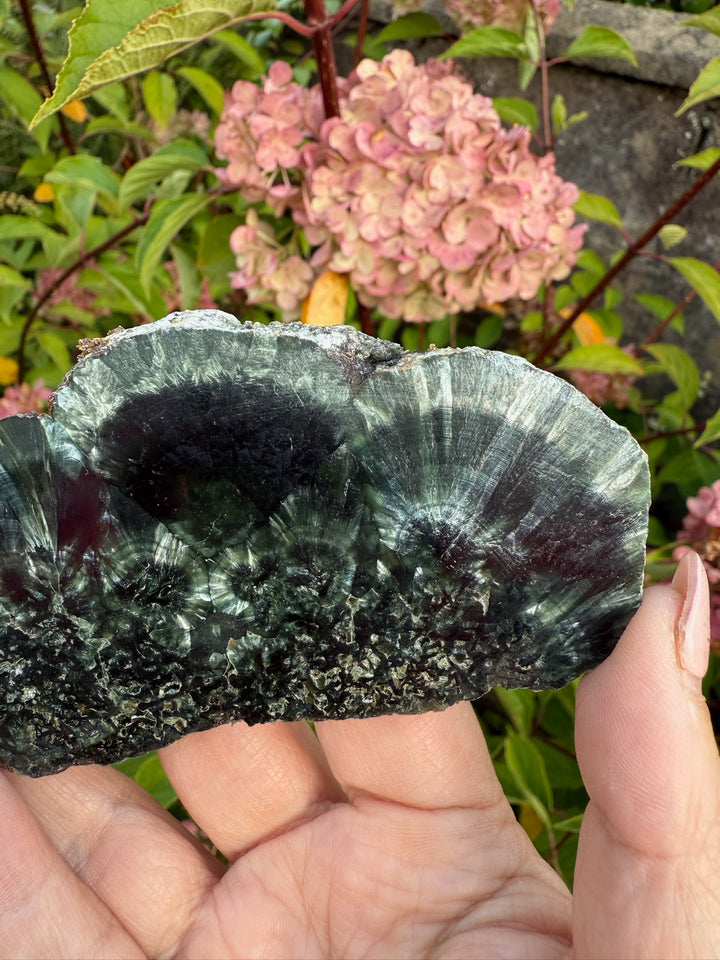 Stalactite Seraphinite Slice