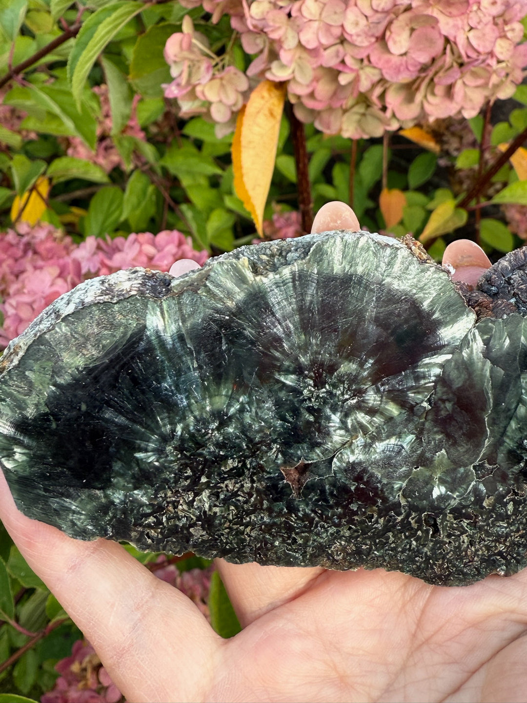 Stalactite Seraphinite Slice