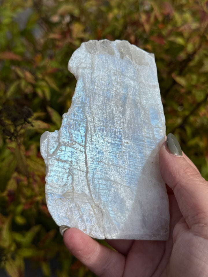 Blue Flash Moonstone Slice