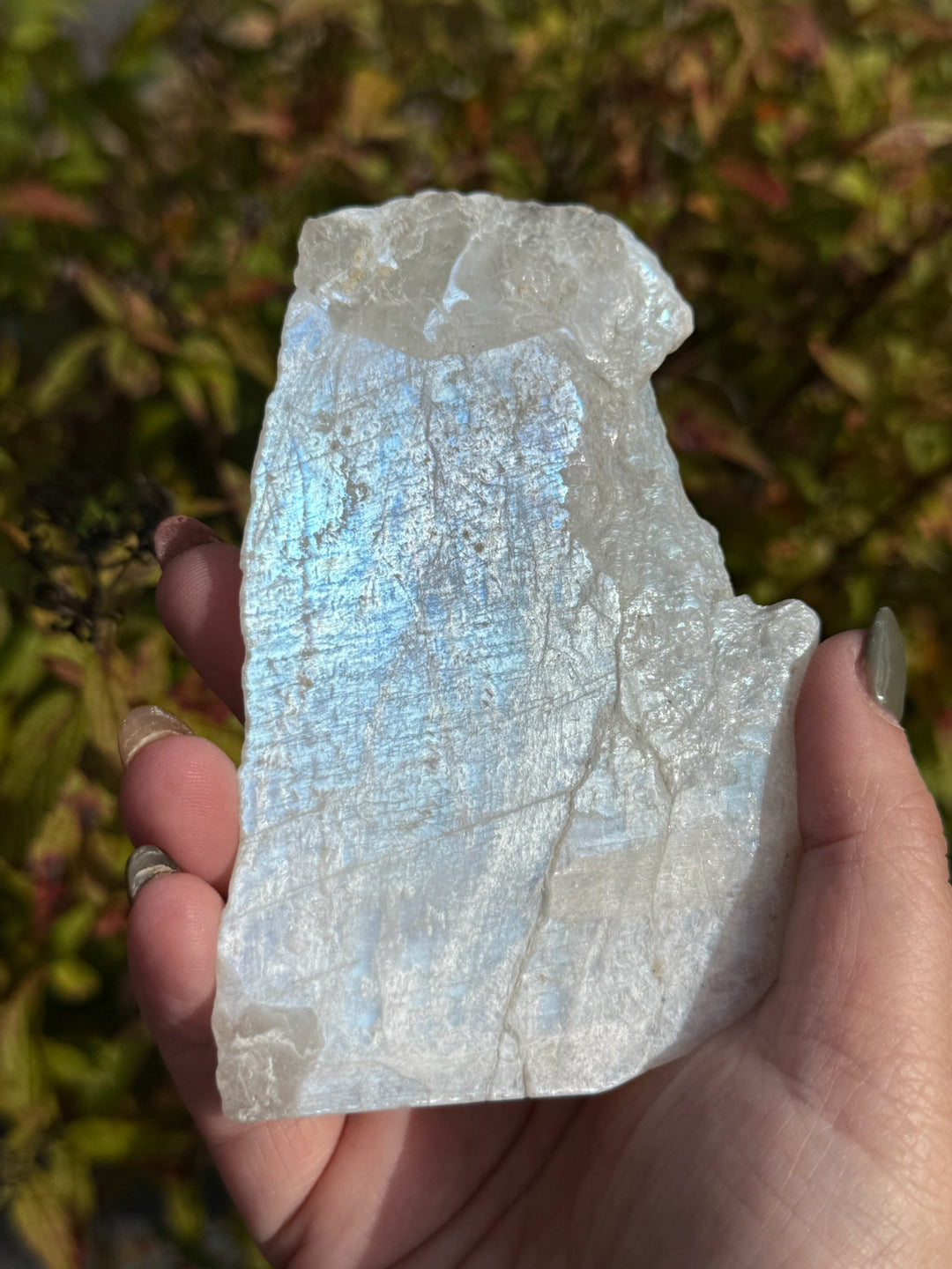 Blue Flash Moonstone Slice