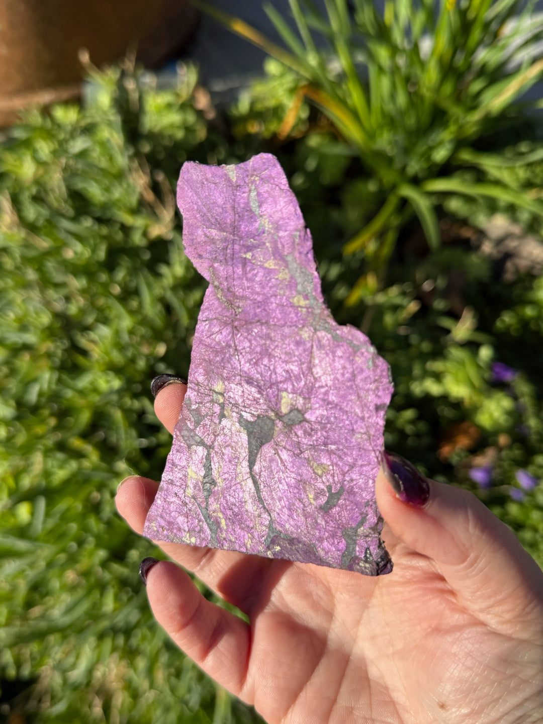 Purpurite Slice