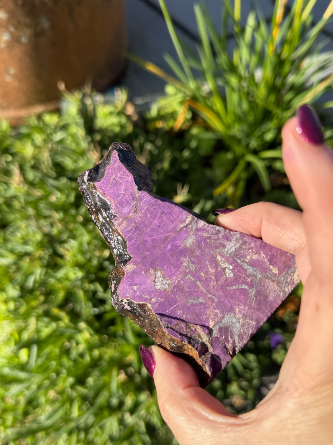 Purpurite Slice