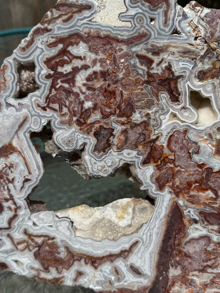 Statement Crazy Lace Agate Slice and Stand from Mexico