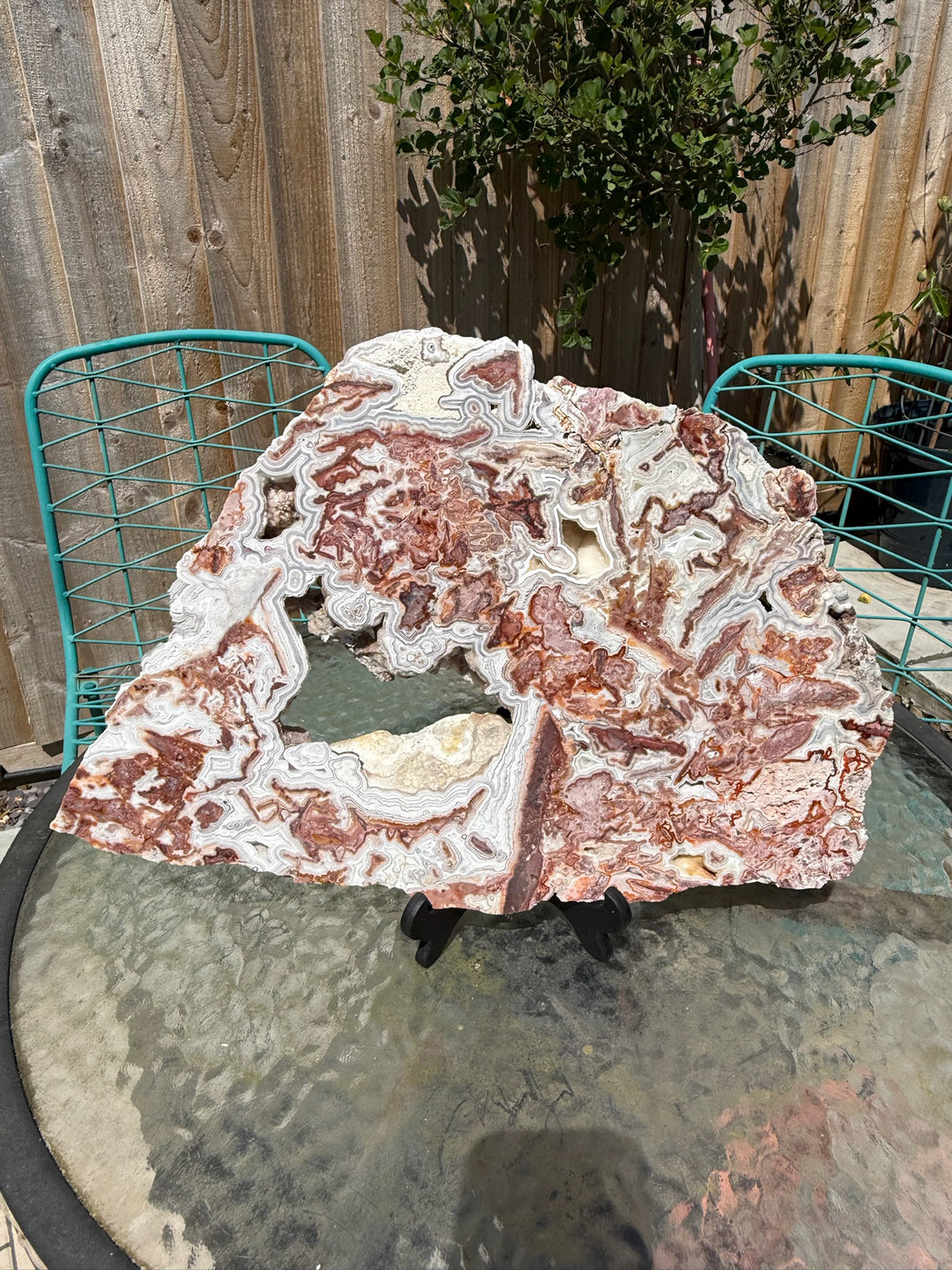 Statement Crazy Lace Agate Slice and Stand from Mexico