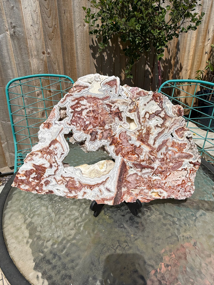 Statement Crazy Lace Agate Slice and Stand from Mexico