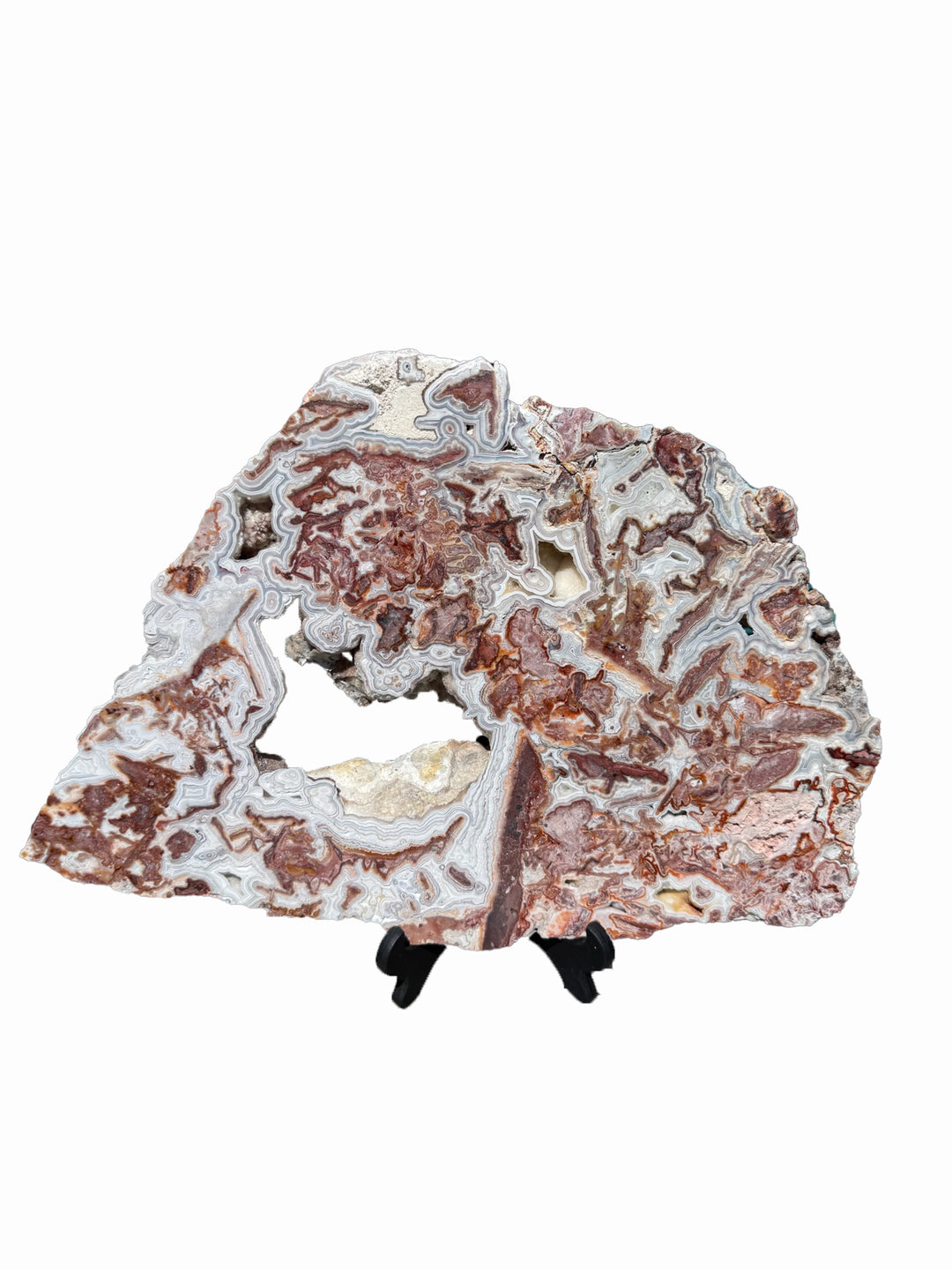 Statement Crazy Lace Agate Slice and Stand from Mexico