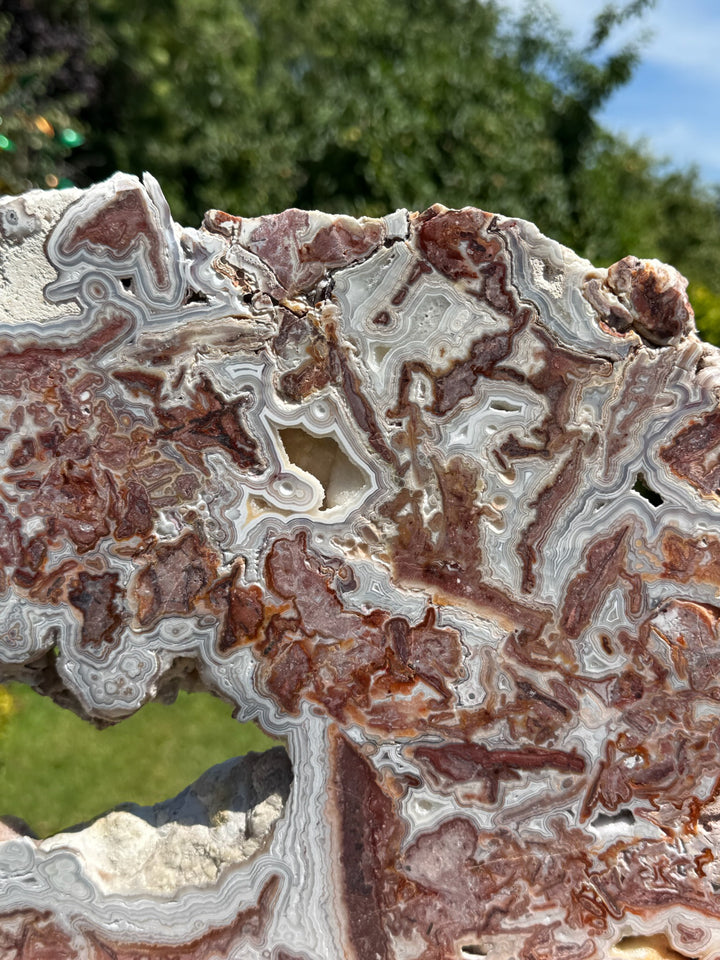 Statement Crazy Lace Agate Slice and Stand from Mexico