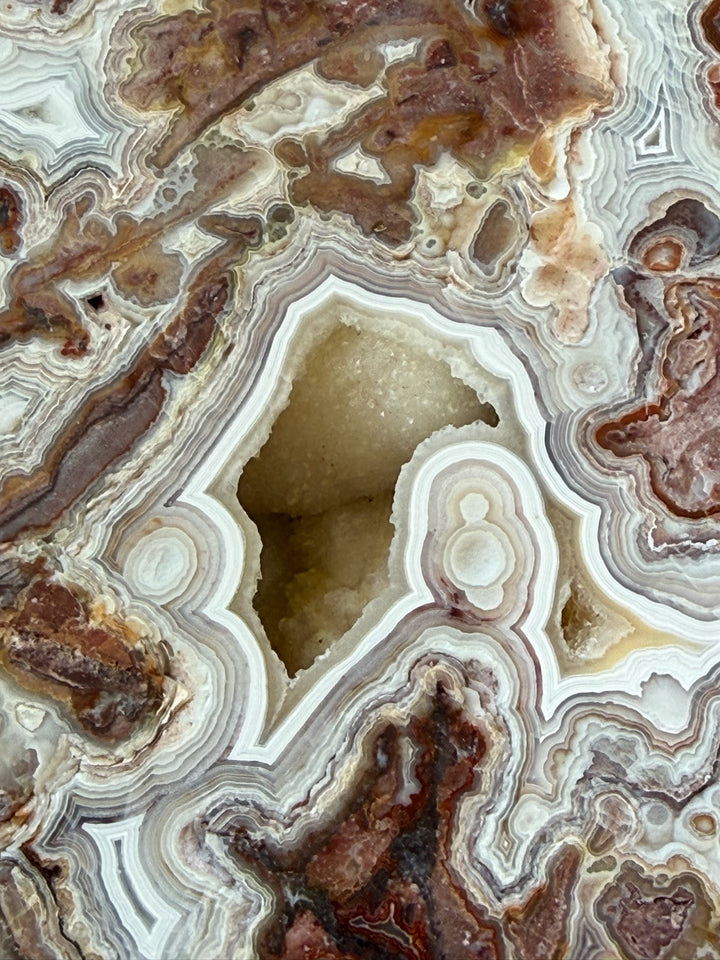 Statement Crazy Lace Agate Slice and Stand from Mexico