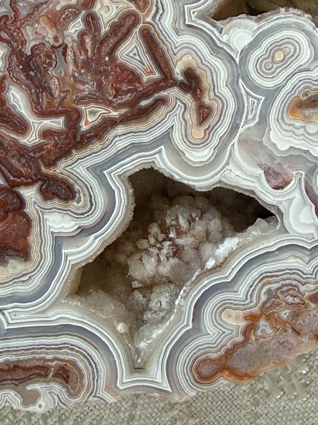 Statement Crazy Lace Agate Slice and Stand from Mexico