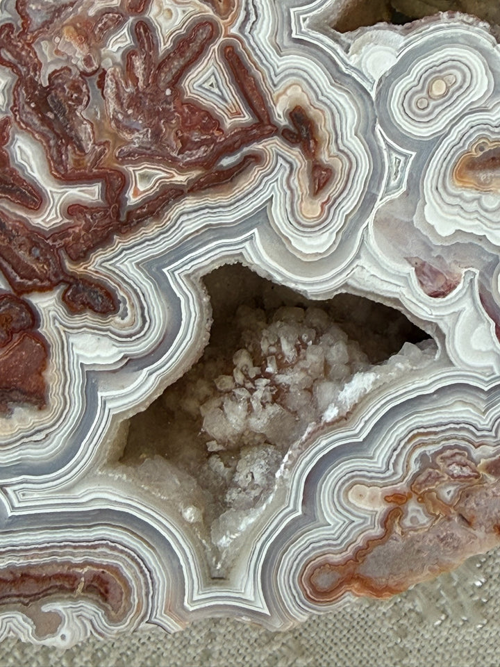Statement Crazy Lace Agate Slice and Stand from Mexico