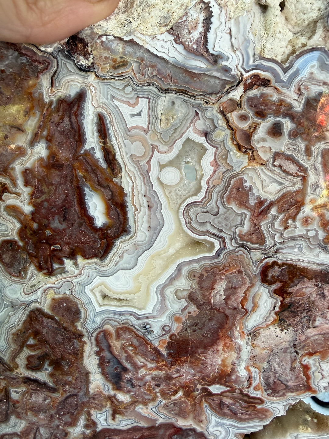 Statement Crazy Lace Agate Slice and Stand from Mexico