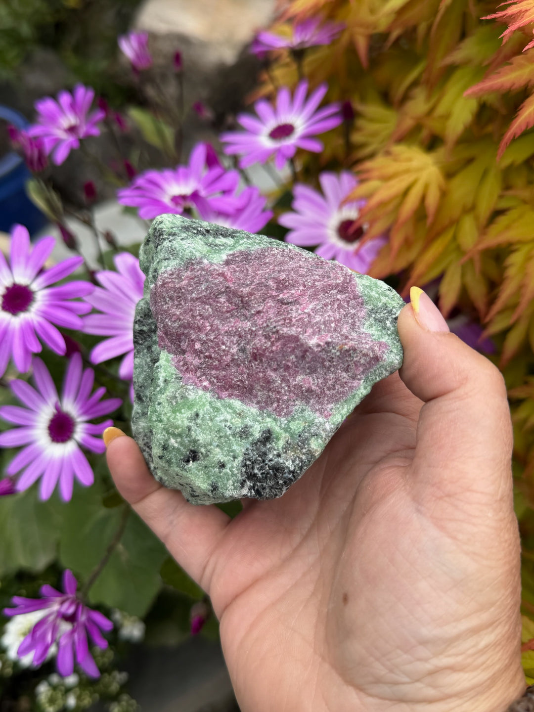Large Ruby in Zoisite Natural Rough Specimen
