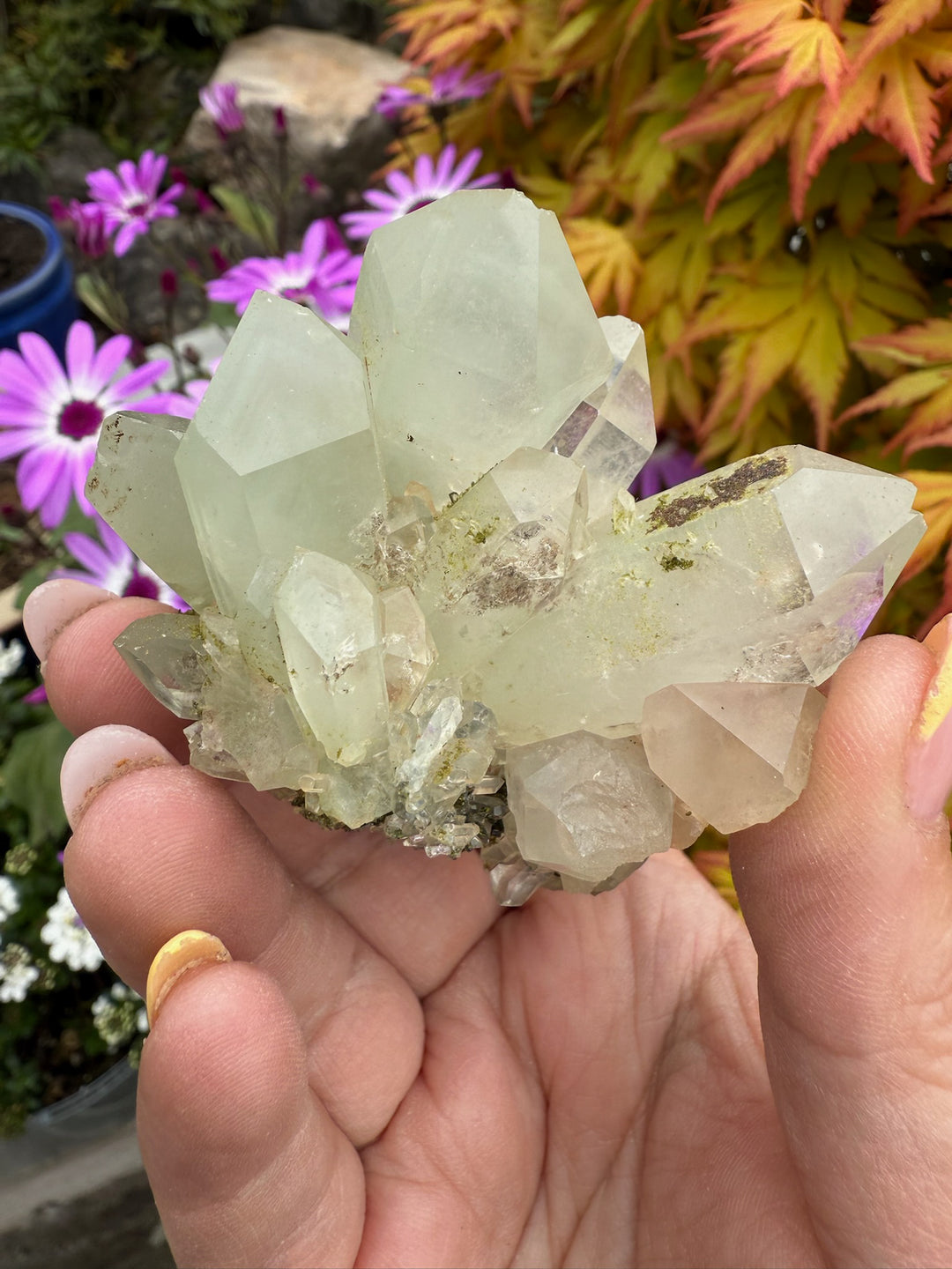 Double Sided Chlorite Quartz with Epidote Specimen