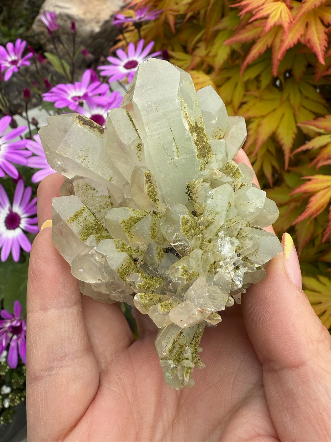 Double Sided Chlorite Quartz with Epidote Specimen