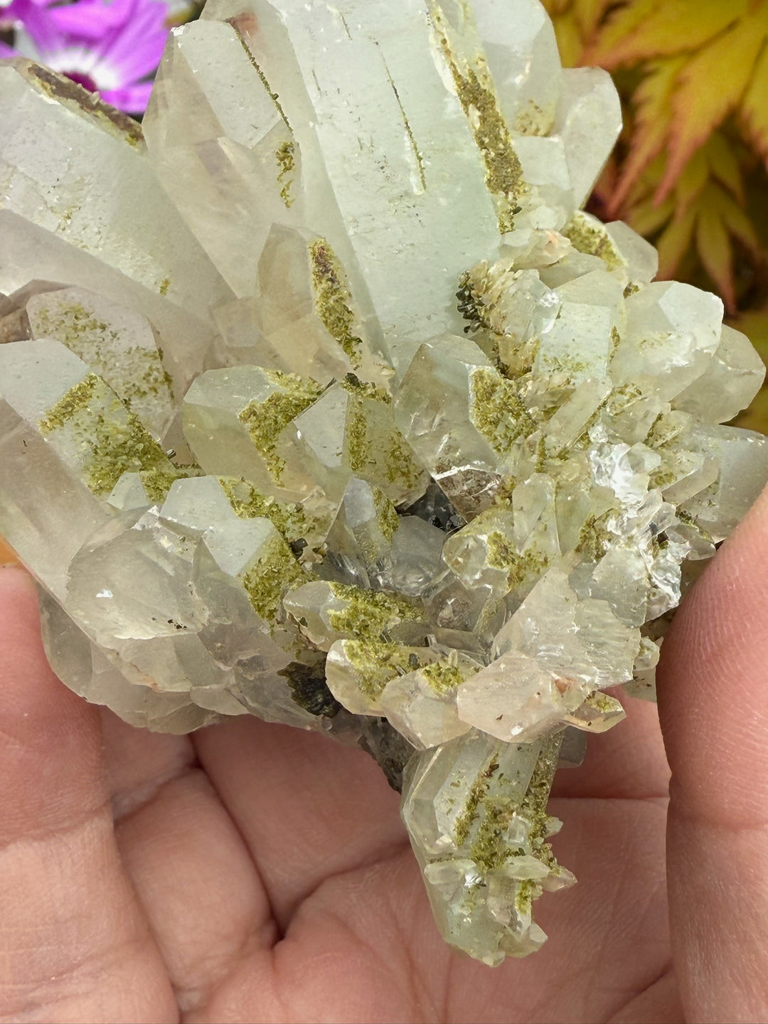 Double Sided Chlorite Quartz with Epidote Specimen