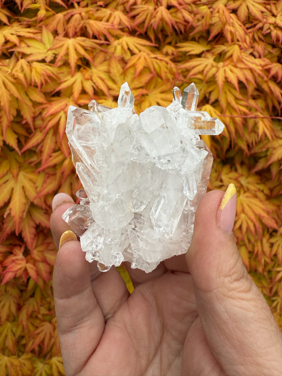 Clear Faden Quartz Specimen