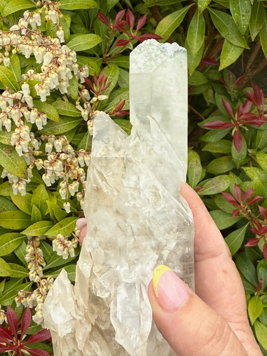 Large Special Quartz with Interupted Growth and Chlorite from Skardu Pakistan