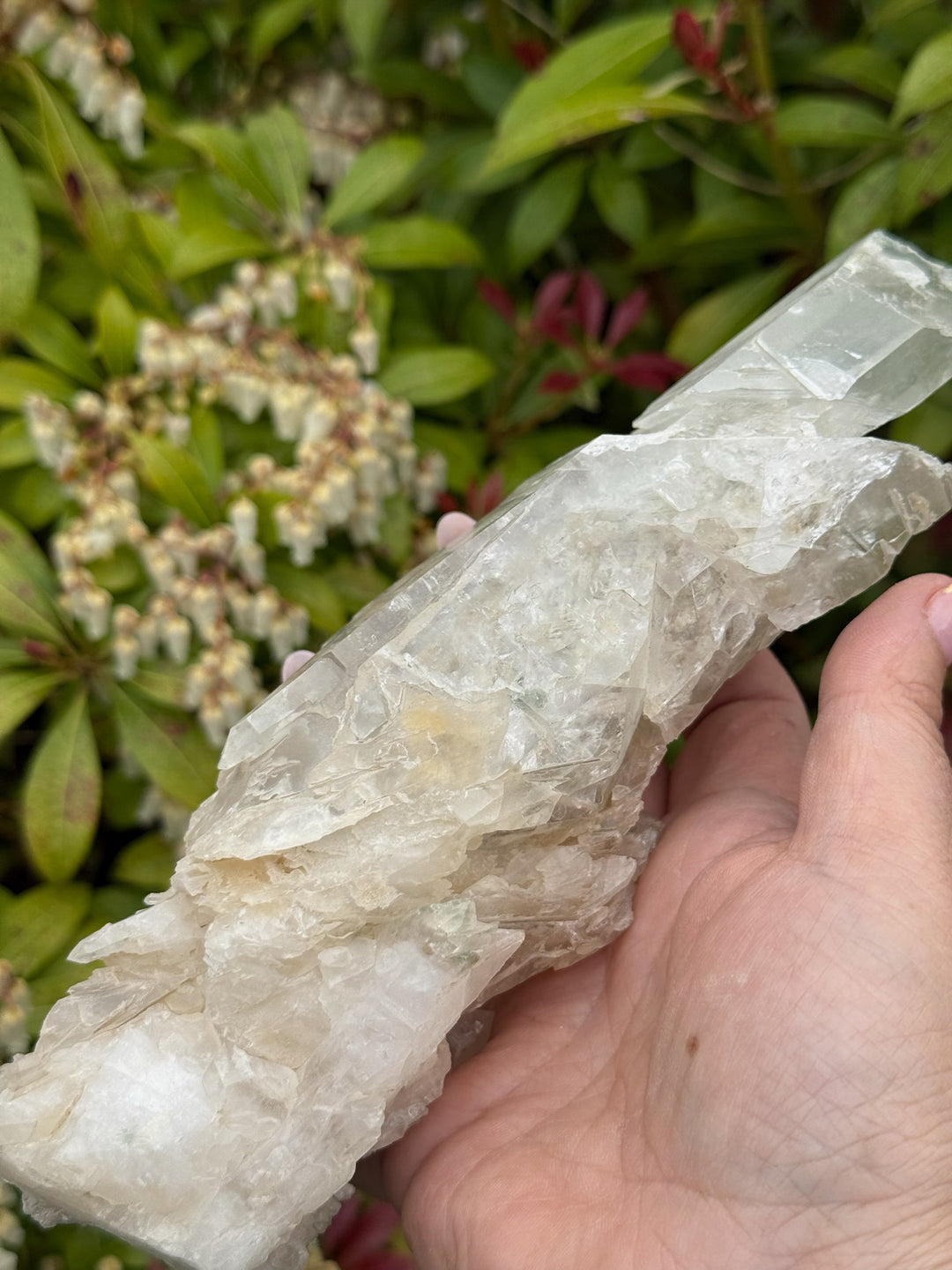Large Special Quartz with Interupted Growth and Chlorite from Skardu Pakistan