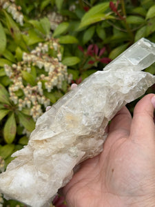 Large Special Quartz with Interupted Growth and Chlorite from Skardu Pakistan
