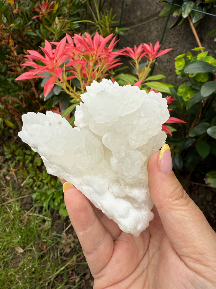 White Aragonite and Fluorite from Mexico