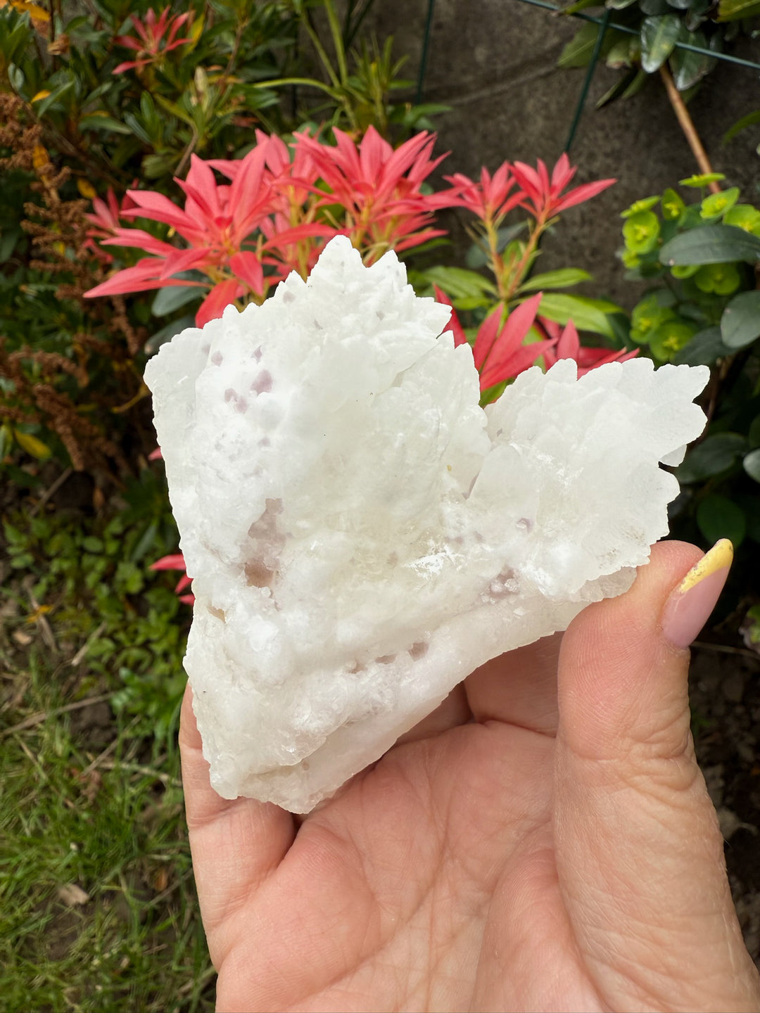 White Aragonite and Fluorite from Mexico