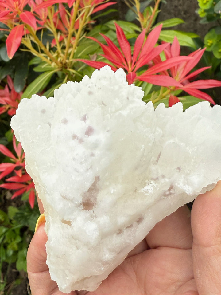 White Aragonite and Fluorite from Mexico