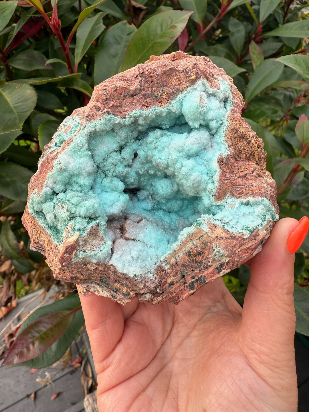 Druzy Chrysocolla Geode from Yunnan