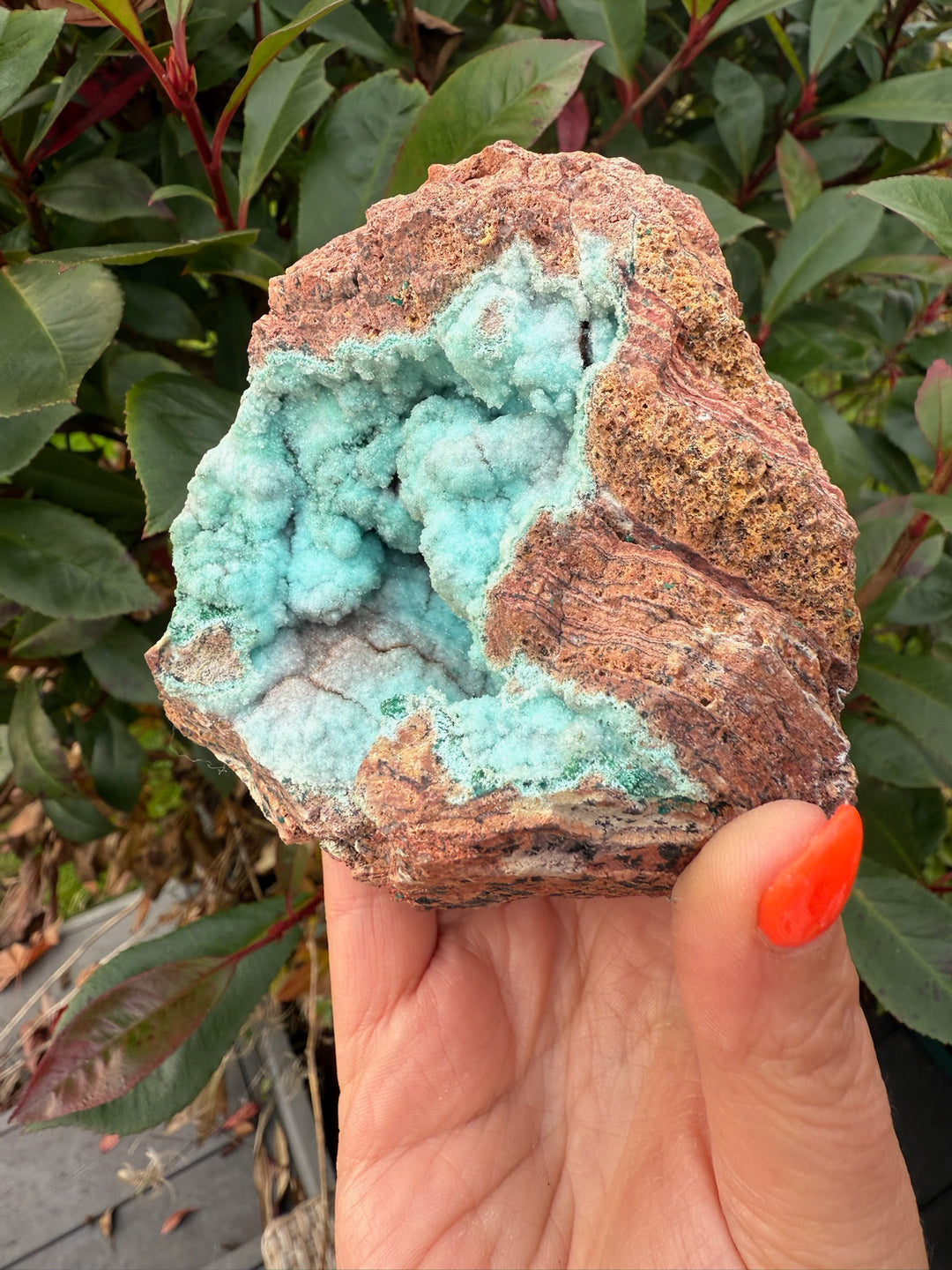 Druzy Chrysocolla Geode from Yunnan