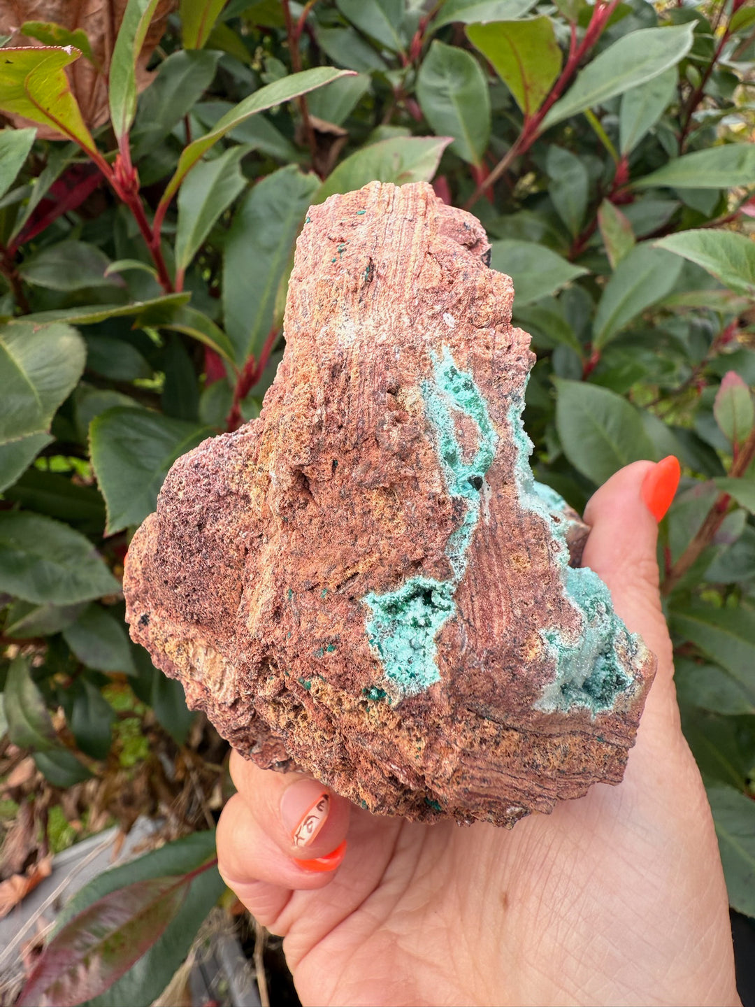 Druzy Chrysocolla Geode from Yunnan