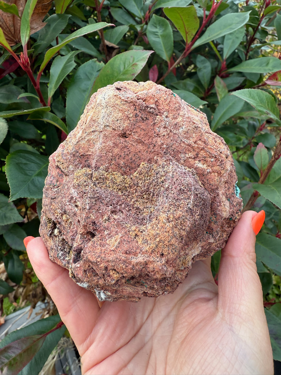 Druzy Chrysocolla Geode from Yunnan