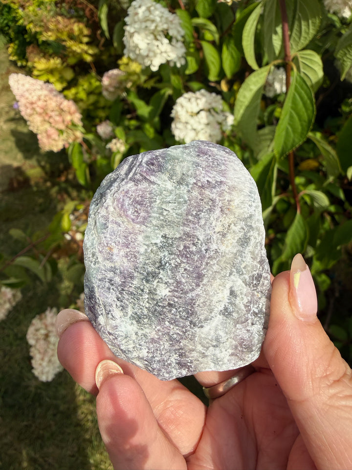 RESERVED 4 Fluorite Specimens