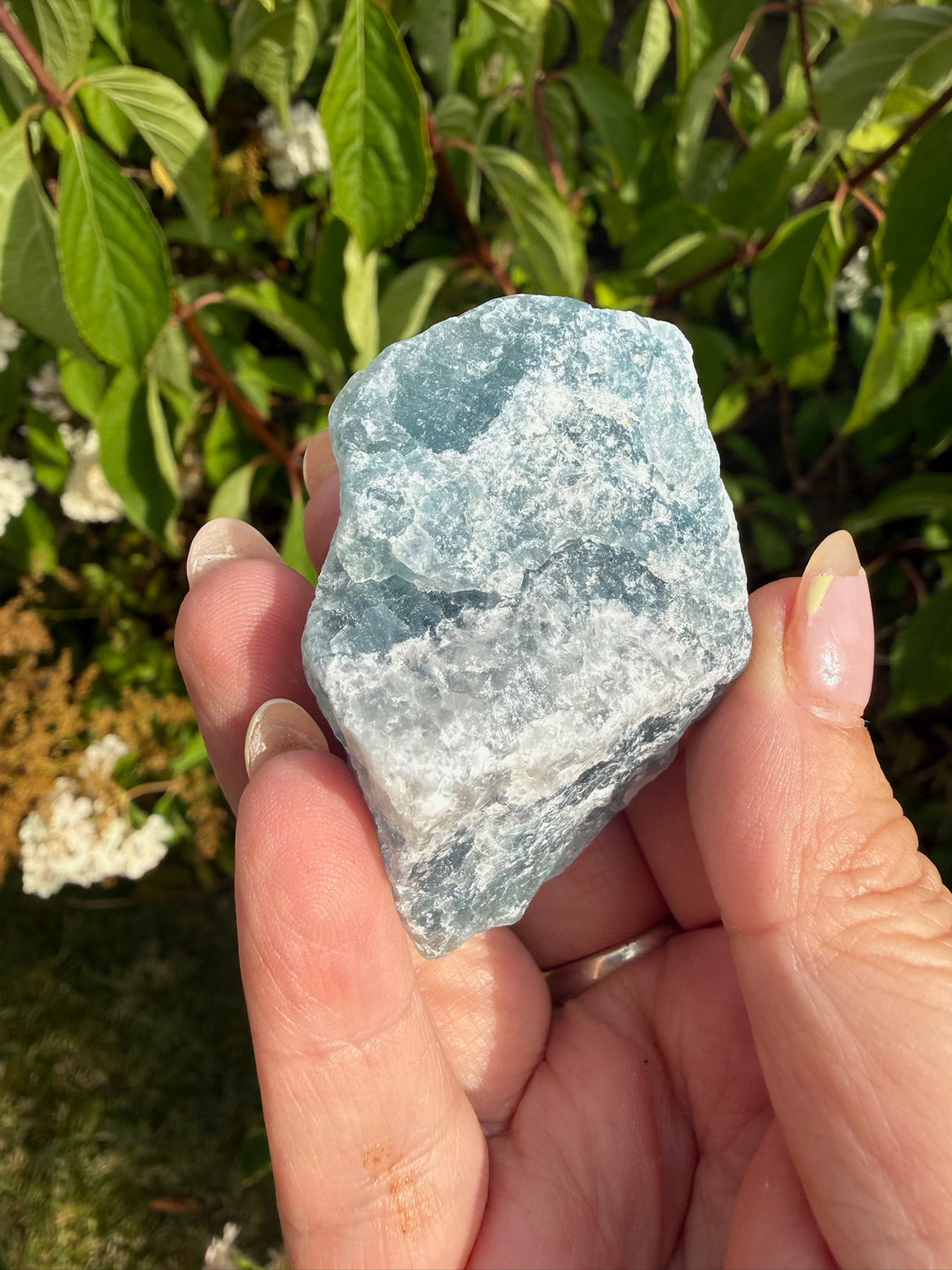 RESERVED 4 Fluorite Specimens