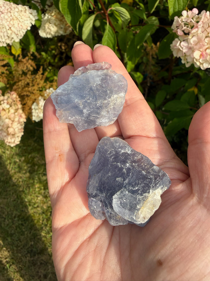RESERVED 4 Fluorite Specimens