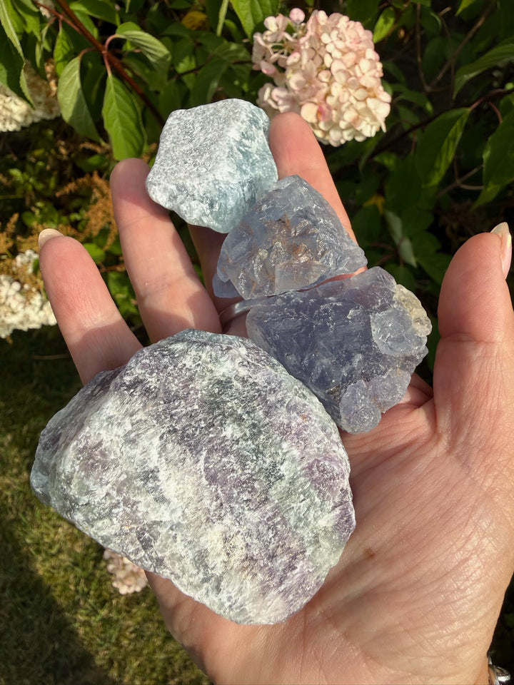 RESERVED 4 Fluorite Specimens
