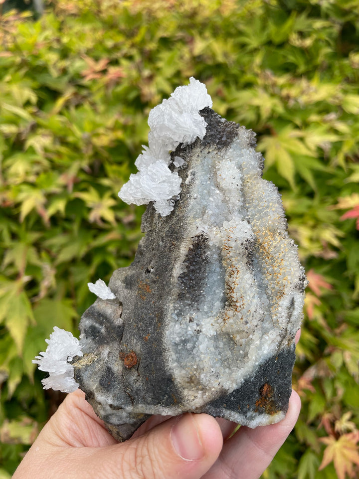 White Calcite and Druzy Quartz Specimen