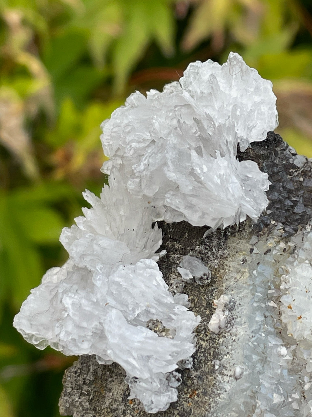 White Calcite and Druzy Quartz Specimen