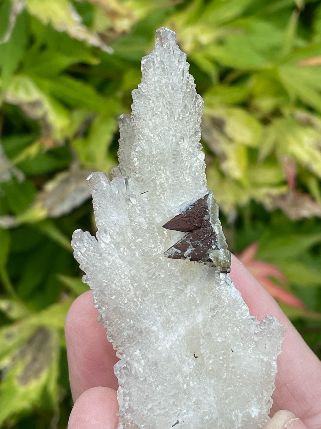 Feather Calcite and Pyrite Specimen