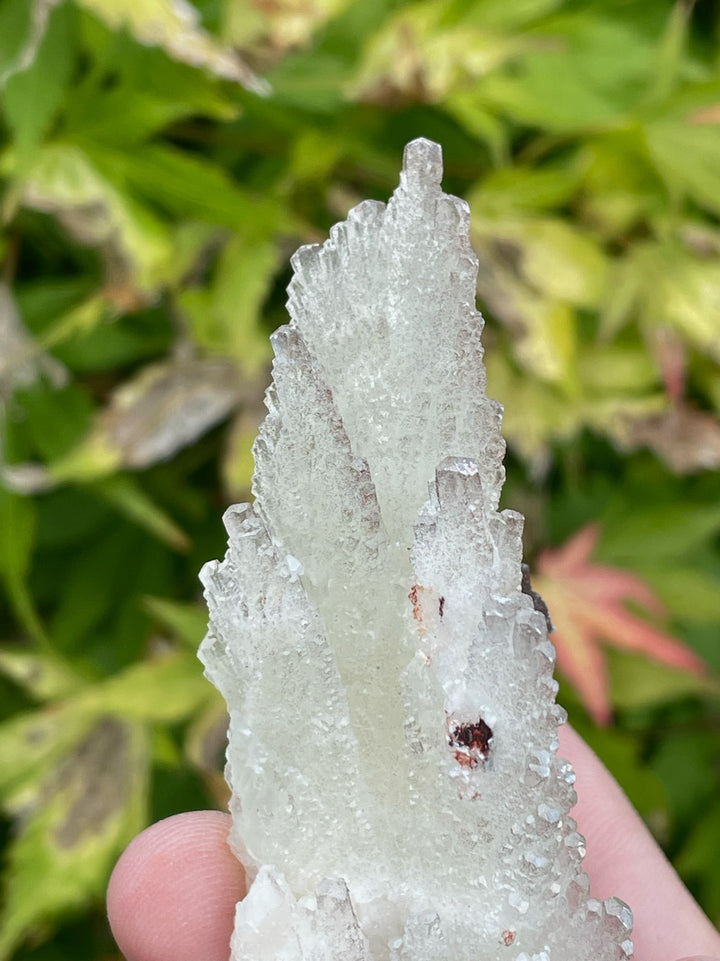 Feather Calcite and Pyrite Specimen