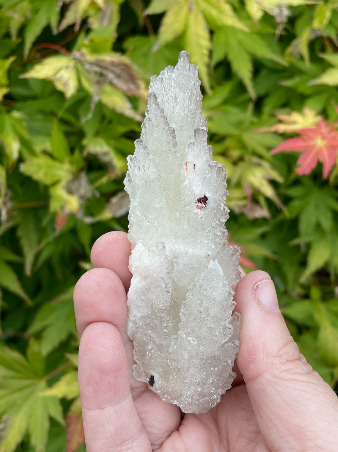 Feather Calcite and Pyrite Specimen