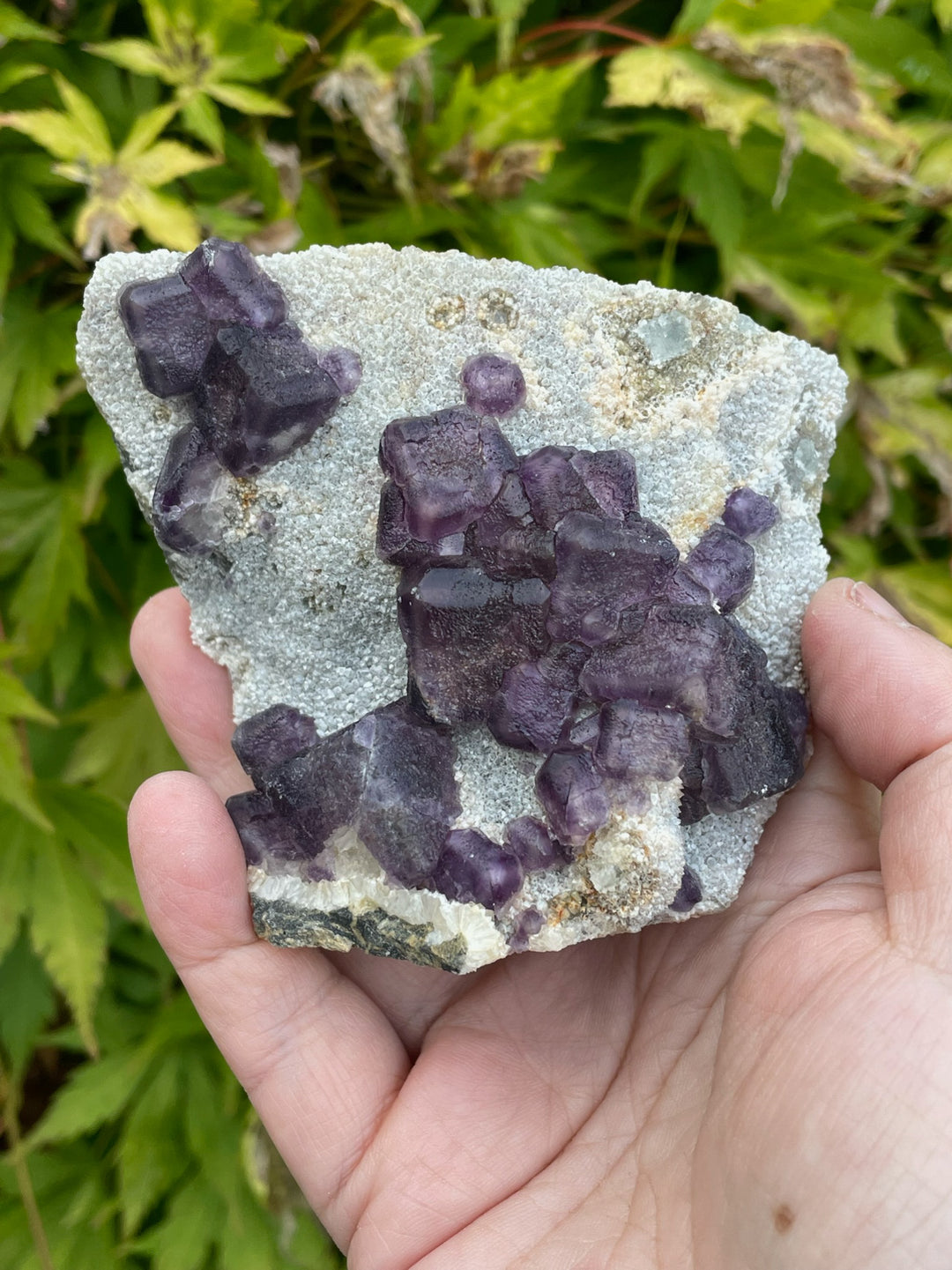 Purple Cubic Fluorite Specimen
