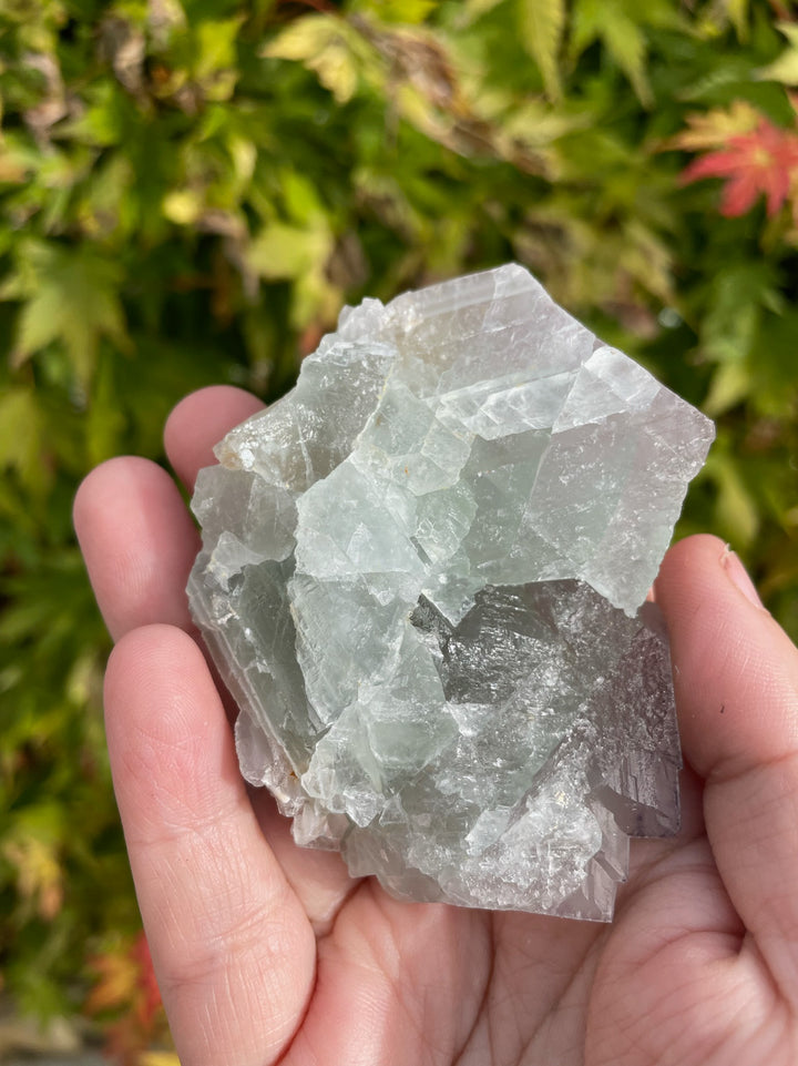 Bicolour QR Code Fluorite Specimen