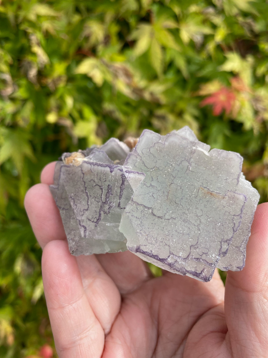 Bicolour QR Code Fluorite Specimen