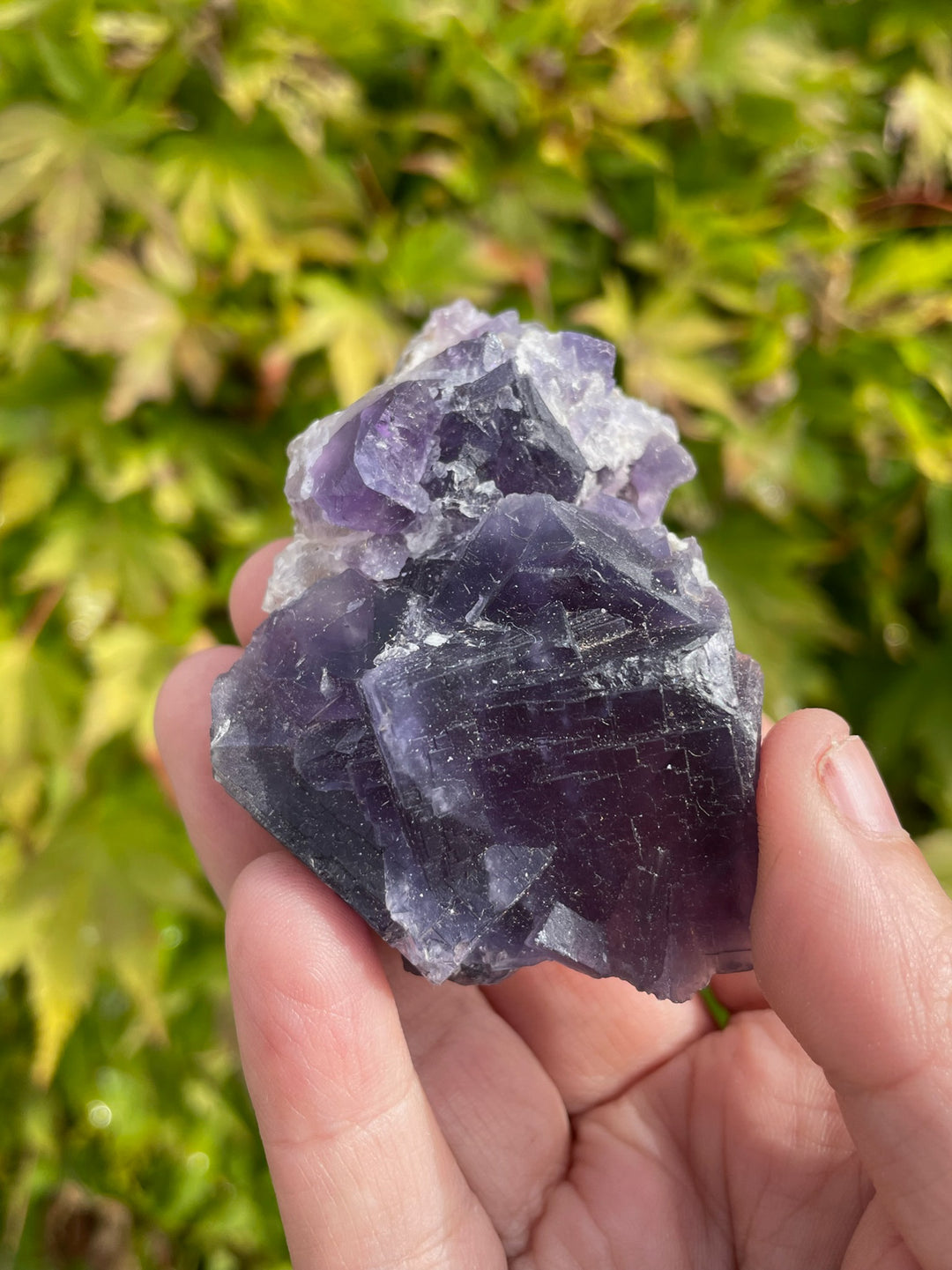 Purple QR Code Fluorite Specimen