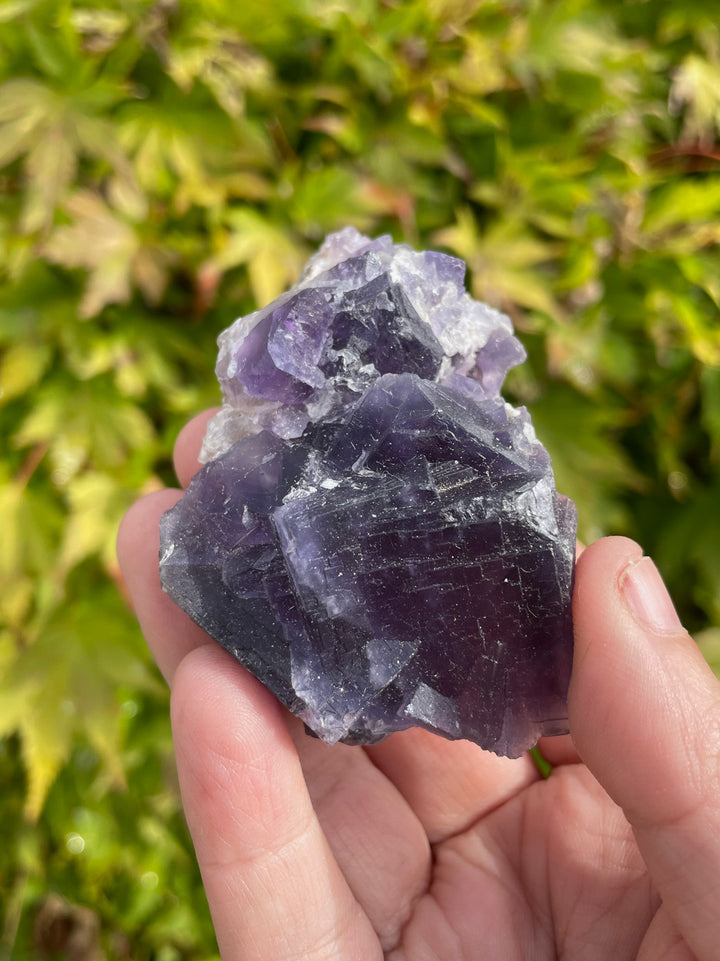 Purple QR Code Fluorite Specimen
