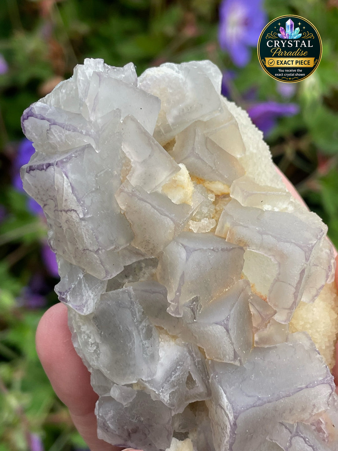 Bicolour Cubic Fluorite on Calcite Specimen