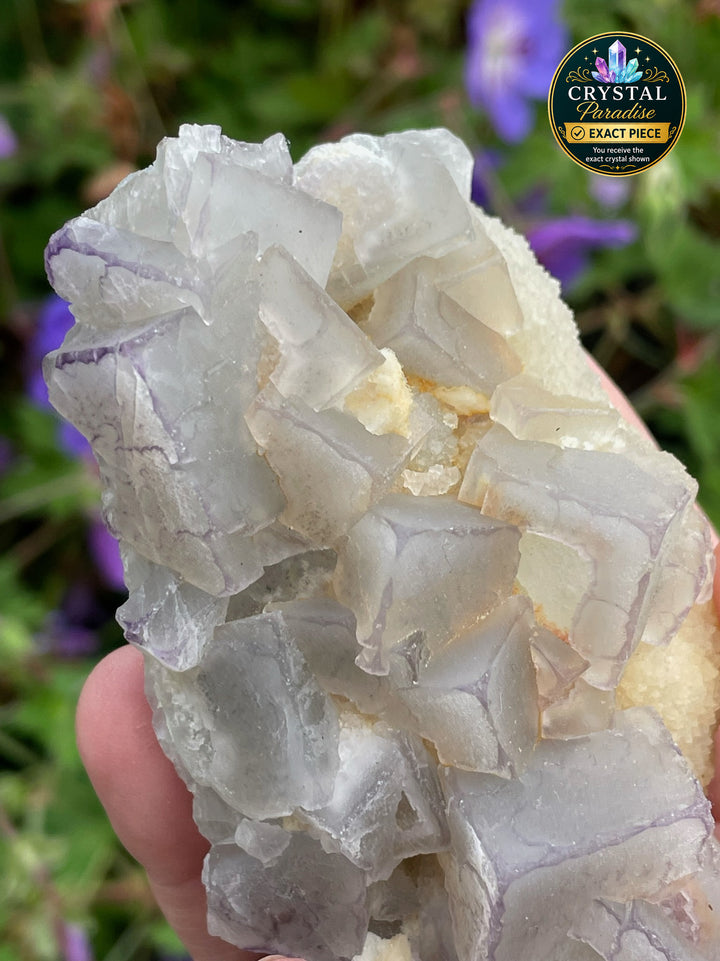 Bicolour Cubic Fluorite on Calcite Specimen