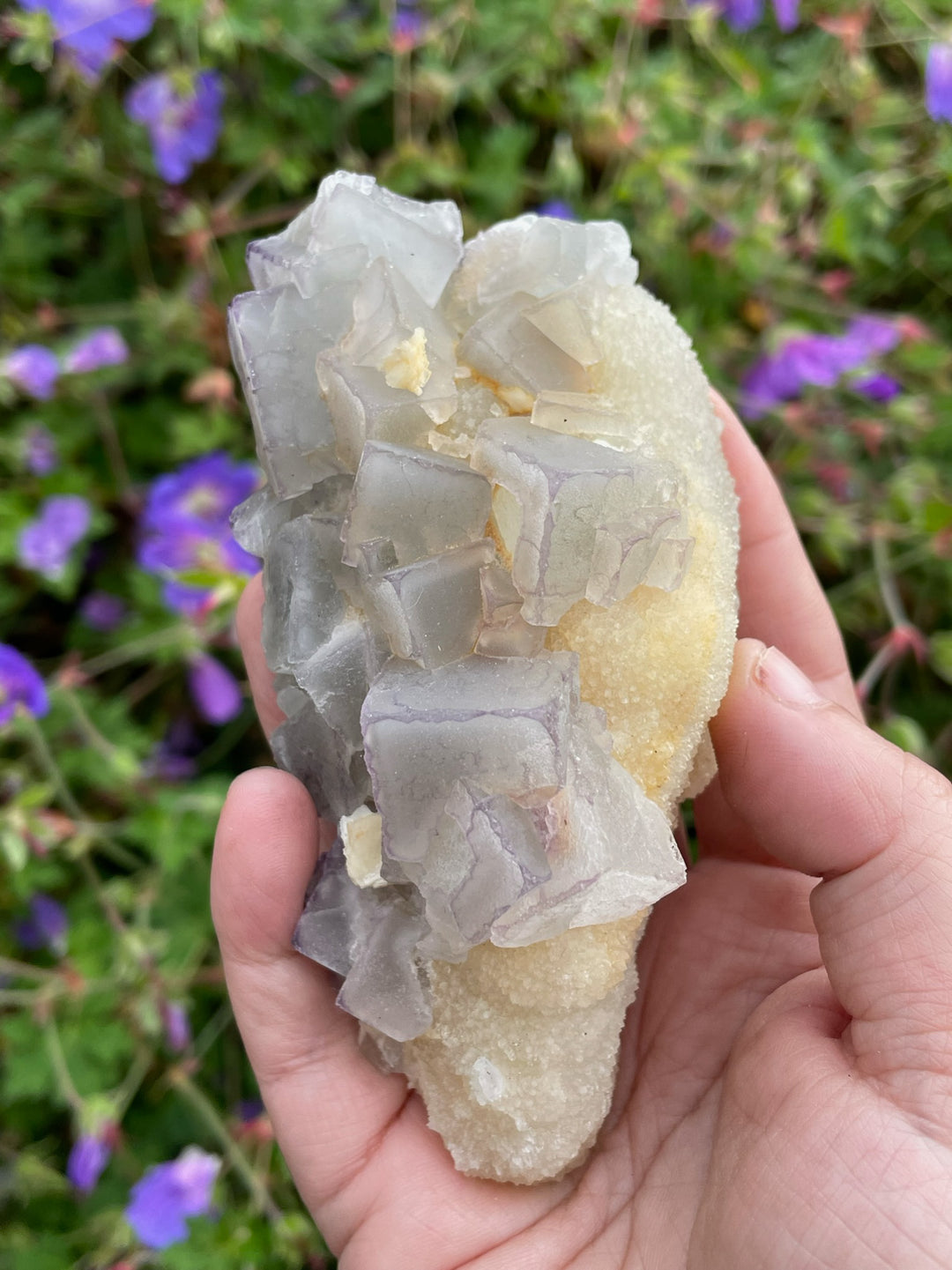 Bicolour Cubic Fluorite on Calcite Specimen