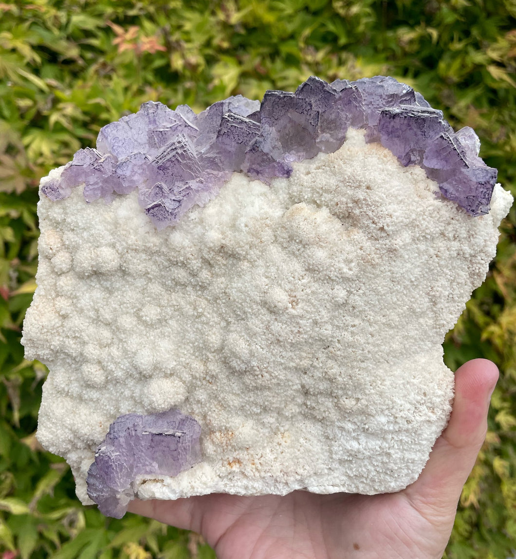 Statement Purple Fluorite Cluster on a Stand Specimen