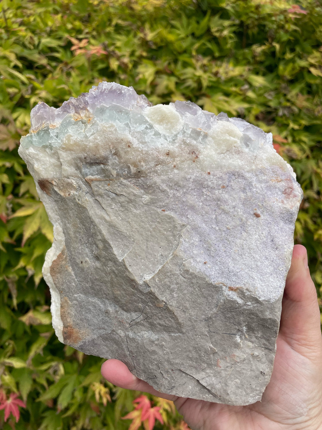 Statement Purple Fluorite Cluster on a Stand Specimen